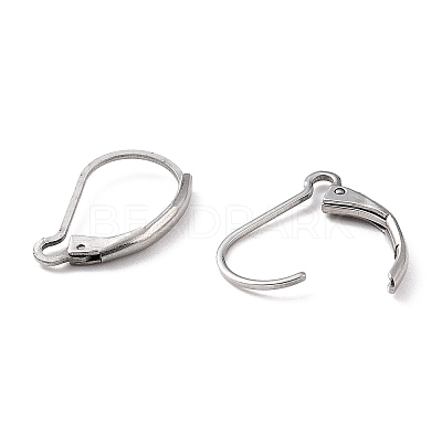 Non-Tarnish 304 Stainless Steel Leverback Earring Findings LS-X-STAS-K233-04P-1