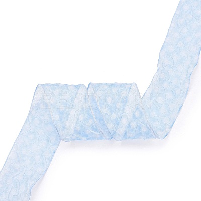 20 Yards Polyester Mesh Ribbon SRIB-P021-E04-1