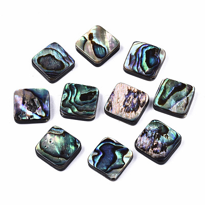 Natural Abalone Shell/Paua Shell Beads SSHEL-T014-13A-1