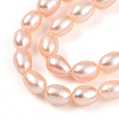 Natural Cultured Freshwater Pearl Beads Strands PEAR-N012-AA-02-1