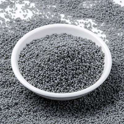 MIYUKI Round Rocailles Beads X-SEED-G009-RR0499-1