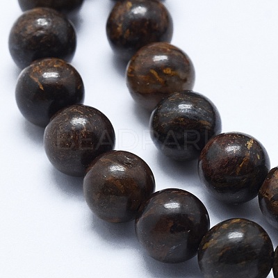 Natural Bronzite Bead Strands X-G-P370-05-8mm-1