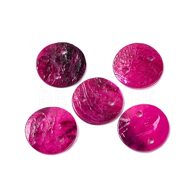 Spray Painted Natural Akoya Shell Connector Charms BSHE-S304-17B-1