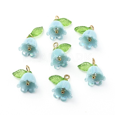 Opaque Resin Pendants LS-CRES-CJC0009-05G-03-1