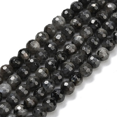 Natural Larvikite Beads Strands G-C280-B06-6mm-1