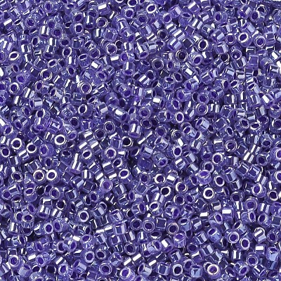 MIYUKI Delica Beads X-SEED-J020-DB0250-1