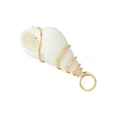 Natural Trumpet Shell Pendants PALLOY-JF02794-01-1