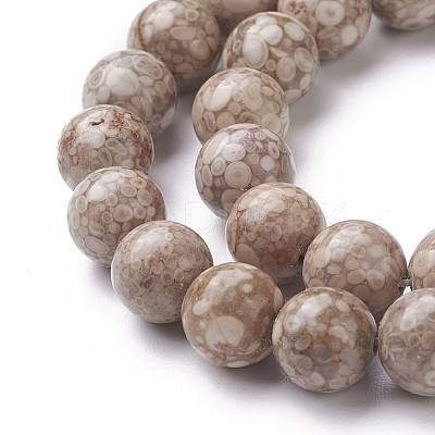 Natural Fossil Coral Beads Strands G-F563-02-8mm-1