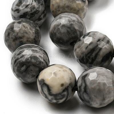 Natural Map Stone/Picasso Stone/Picasso Jasper Beads Strands G-C079-B05-03-1