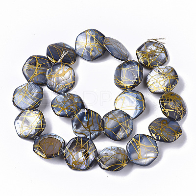 Drawbench Freshwater Shell Beads Strands X-SHEL-T014-013B-1