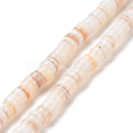 Natural Freshwater Shell Beads Strands X-SHEL-G011-09-A02-1