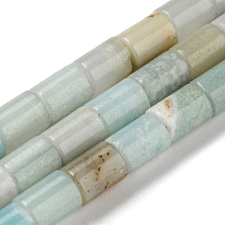 Natural Flower Amazonite Beads Strands G-Q1008-A10-1