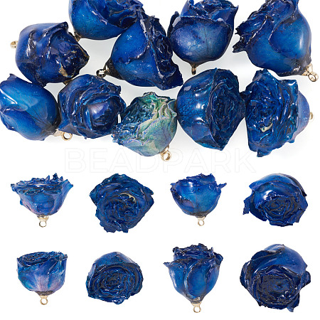 10Pcs Preserved Rose Pendants KY-TA0001-59A-1