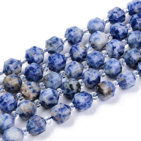 Natural Blue Spot Jasper Beads Strands G-R482-07-10mm-1