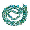 Electroplate Transparent Glass Beads Strands EGLA-N002-27-C05-2
