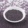 MIYUKI Round Rocailles Beads X-SEED-G007-RR0024-2