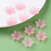 Transparent Acrylic Beads LS-MACR-S373-107-D05-7