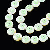 Natural Freshwater Shell Enamel Beads SHEL-N026-194-03B-3