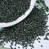 MIYUKI Delica Beads X-SEED-J020-DB0458-1