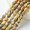 Barrel Shaped Gemstone Natural Crazy Lace Agate Beads Strands X-G-S114-08-2