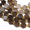Natural Smoky Quartz Beads Strands G-F833-B07-01-3