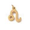 304 Stainless Steel Charms STAS-R001-04G-05-1