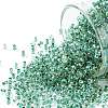 TOHO 11/0 Round Beads X-SEED-TR11-0699-1