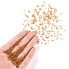 12/0 Glass Seed Beads SEED-US0003-2mm-22B-4