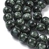Natural Seraphinite Beads Strands G-C270-O01-13-4