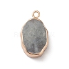 Natural Labradorite Pendants G-K333-01L-3