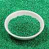 MIYUKI Round Rocailles Beads SEED-X0056-RR0646-2