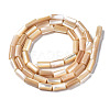 Natural Trochid Shell/Trochus Shell Beads Strands SSHEL-S266-020B-02-2