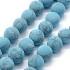 Synthetic Turquoise Beads Strands G-P387-01-8mm-1