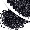 11/0 Grade A Baking Paint Glass Seed Beads X-SEED-S030-0606-1