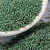 MIYUKI Round Rocailles Beads SEED-X0056-RR0374-1