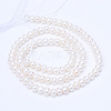 Natural Cultured Freshwater Pearl Beads Strands PEAR-R063-08-1-2