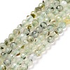 Natural Prehnite Beads Strands G-C009-A21-1