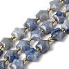 NaturalBlue Aventurine Beads Strands G-Z080-A28-10mm-2