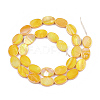 Freshwater Shell Beads Strands SSHEL-T007-19-3