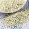 MIYUKI Round Rocailles Beads SEED-G009-RR0491-1