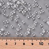8/0 Glass Seed Beads X1-SEED-A006-3mm-101-3