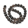 Natural Ice Obsidian Beads Strands G-P590-A01-10mm-02-5