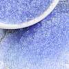 MIYUKI Round Rocailles Beads X-SEED-G009-RR0159L-1