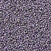 MIYUKI Delica Beads X-SEED-J020-DB1065-2