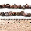 Natural Leopard Skin Jasper Beads Strands G-B161-A03-5