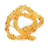 Natural Amber Beads Strands G-K376-C02-01-3