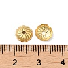 316 Stainless Steel Bead Caps STAS-C080-01G-3