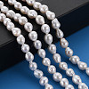 Natural Keshi Pearl Beads Strands PEAR-S020-F03-5