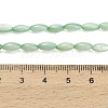 Natural Freshwater Shell Beads Strands SHEL-C010-01-5