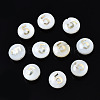 Natural Freshwater Shell Beads SHEL-N003-20-05-1